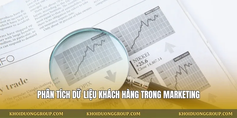 Phân tích dữ liệu khách hàng trong marketing